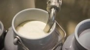 Milk to Be Sold at Rs 100 Per Litre From March 1, 2021 Onwards? Know the Truth Behind Claims by News Report and Social Media Trend