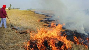 Punjab: Stubble Burning Continues in Amritsar; Visuals from Attari Village