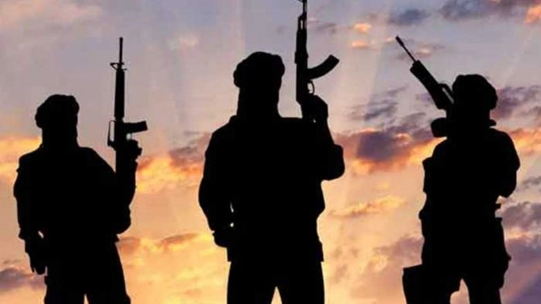 Jammu and Kashmir: 11 Govt Employees Dismissed From Service for Allegedly Working for Terror Groups, Say Officials