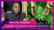 Himachal Pradesh Planning To Legalise Cannabis Cultivation, Everything You Need To Know