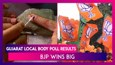 Gujarat Local Body Poll Results: BJP Wins Big, Congress Routed, AAP Impresses Again