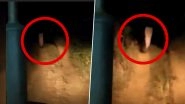 Real Ghost Caught on Camera? Paranormal Encounter of Odisha Villagers With Eerie Figure in White Saree Is Giving Nightmares! Viral Video Will Spook You Out