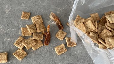 Sugar-Coated Shrimp Tails, Dental Floss & More in Cinnamon Toast Crunch Cereal Found by L.A. Man, Netizens Respond With Stories of What They Found in Products Over the Years (See Pics)