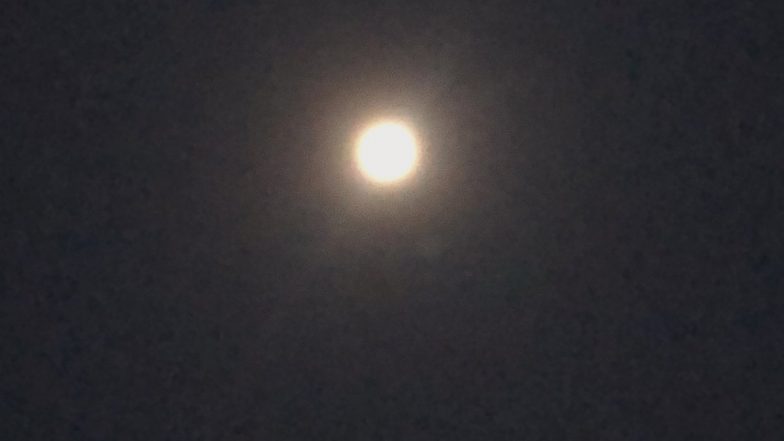 Super Worm Moon: Here Is Everything You Need To Know About The Full Moon Shining Brightly in The Sky Tonight