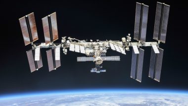 New Bacterial Strains Found on ISS May Help Grow Plants in Space