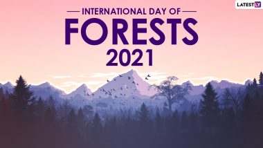 International Day of Forests 2021 Facts: From Being Storehouse of Biodiversity to Home for Indigenous People, Here Are 10 Interesting Things You Probably Didn't Know of