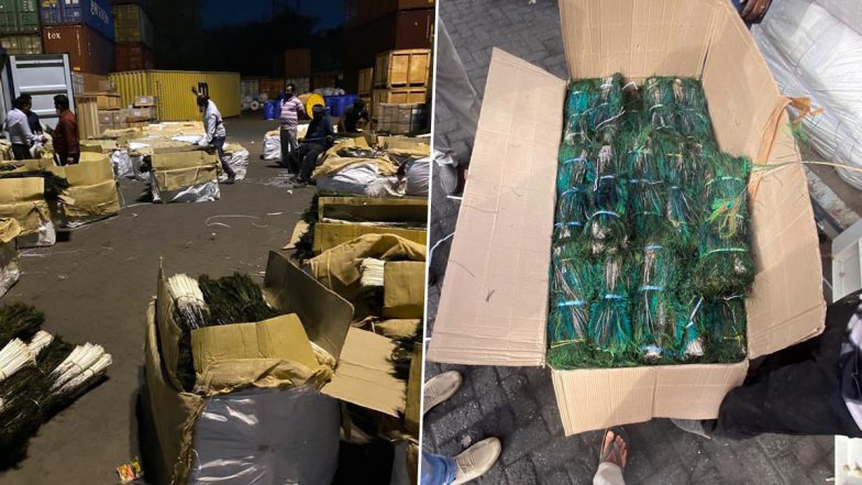 Delhi Custom Seizes 21 Lakh Pieces of Peacock Tail Feathers Allegedly Being Smuggled to China