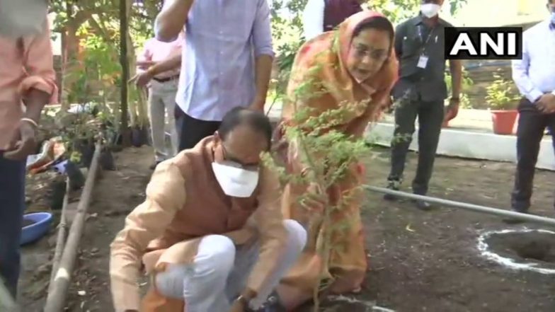 Shivraj Singh Chouhan 62nd Birthday: Madhya Pradesh CM Plants Saplings at His Residence, Urges All to Plant More Trees to Save the Environment