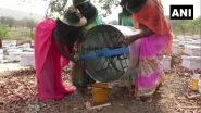 Chhattisgarh Horticulture Department Trains Women Self Help Groups in Beekeeping