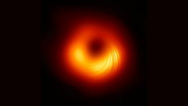 Astronomers Obtain First Image of Black Hole's Magnetic Fields