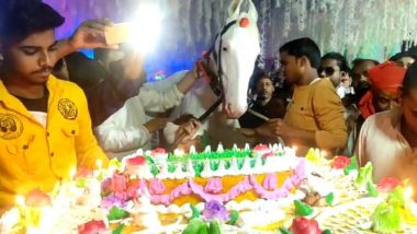 Bihar Man Cuts 50-Pound Cake, Throws Party to Celebrate His Horse Chetak's 2nd Birthday