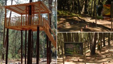 Uttarakhand: India's First Forest Healing Centre Inaugurated at Ranikhet's Kalika (Watch Pictures)