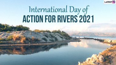 International Day of Action for Rivers 2021 Date, History and Theme: Here’s the Significance of the Annual Observance That Highlights to Preserve and Conserve Water Bodies