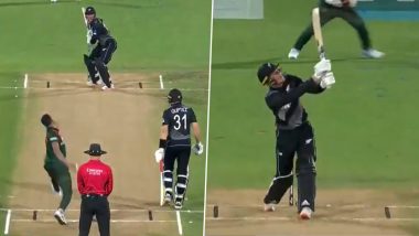 Finn Allen, RCB's New Recruit, Scores Quick-Fire Half-Century During New Zealand vs Bangladesh 3rd T20I