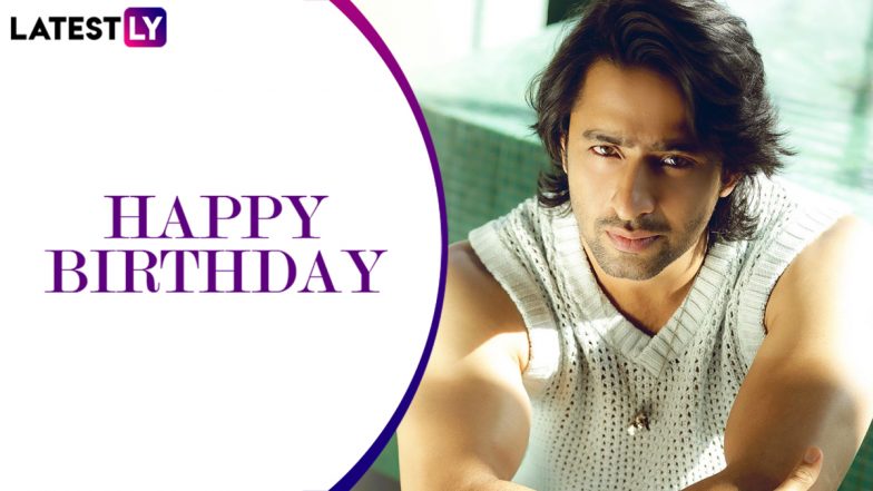 Shaheer Sheikh Birthday Special: Here&rsquo;s Looking at Some Lesser-Known Facts About the &lsquo;Navya&rsquo; Actor!