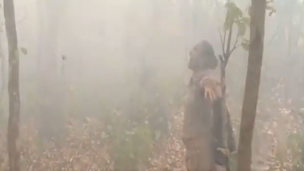 Video of Forester Sneha Dhal Dancing As The Burning Similipal Forest Receives Rainfall After Her Endless Efforts Is The Best Thing You Will See Today