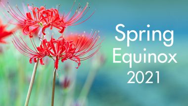 Happy Spring Season 2021! Twitter Celebrates First Day of Spring With Greetings, Quotes, HD Images, Funny Memes, WhatsApp Stickers, Telegram Messages & Signal Pics to Celebrate the Vernal Equinox