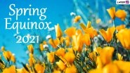 Spring Equinox 2021 Date, History and Significance: When Is the First Day of Spring? All You Need to Know About Vernal Equinox