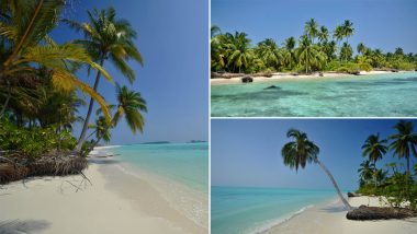 German Ambassador to India Walter J Lindner Shares Mesmerising Beach Pics and They Are Not From Fiji, Maldives, Caribbean, Bora Bora, Seychelles – They Are From Incredible India