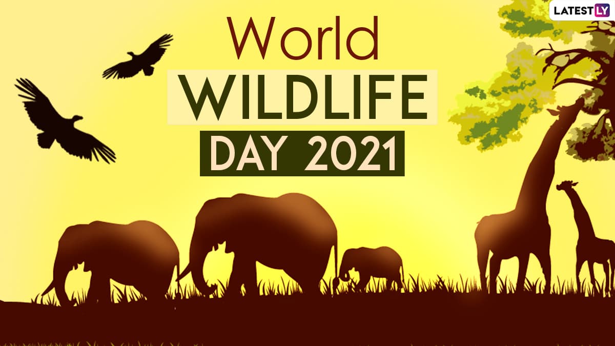 World Wildlife Day 2021 Quotes And Slogans Whatsapp Stickers Sayings