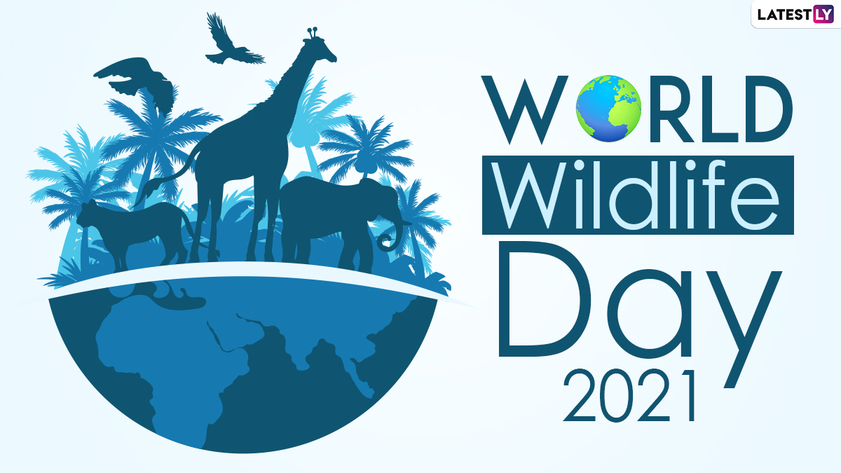 World Wildlife Day 2021 From David Attenborough's 'A Life on Our
