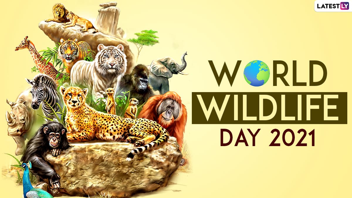 World Animal Day 2021