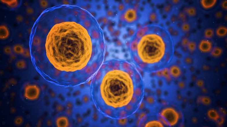 Nanoparticles Create Heat From Light To Manipulate Electrical Activity in Neurons, Study Finds