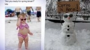 Smile, It&rsquo;s Spring 2021! Warm and Fuzzy, Here Are Funny Spring Memes and Jokes to Welcome the New Season With Cheer