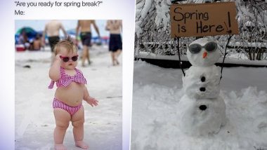 Smile, It’s Spring 2021! Warm and Fuzzy, Here Are Funny Spring Memes and Jokes to Welcome the New Season With Cheer