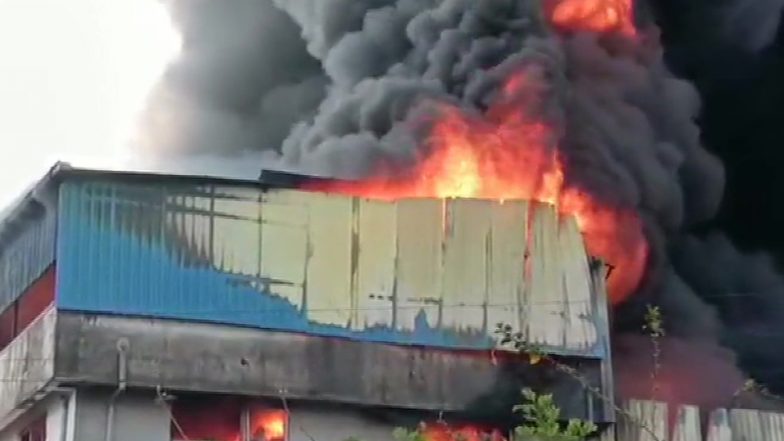 Maharashtra Fire: Blaze Erupts at Plastic Factory in Thane's Asangaon Area; 12 Fire Engines on Spot