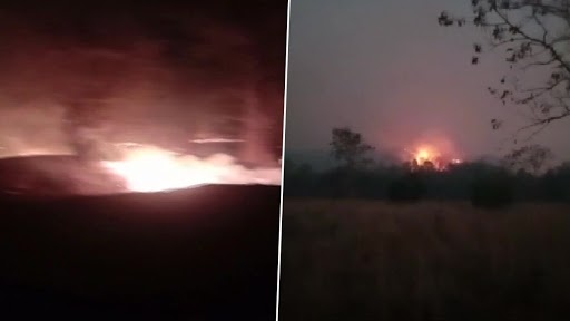 Bandhavgarh Tiger Reserve Wildfire: Massive Blaze Spreads Across Tala, Magadhi and Khitauli Zones of Madhya Pradesh’s Famous Tiger Reserve (See Pics)