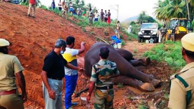 Tamil Nadu: Wild Elephant Injured After Being Hit By Train in Navakkarai