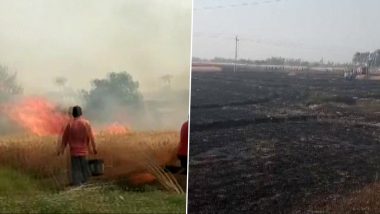 Uttarakhand: Wheat Crop Spread Across 25 Acres of Land in Khatima Destroyed by Fire (See Pictures)