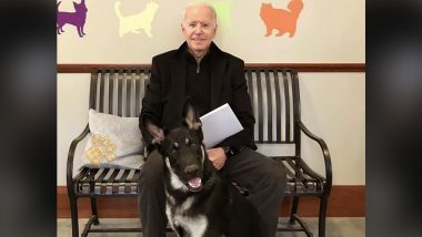 Joe Biden’s German Shepherd, Major in Trouble! US President’s Family Pet Back in Doghouse After Biting National Park Service Employee at the White House