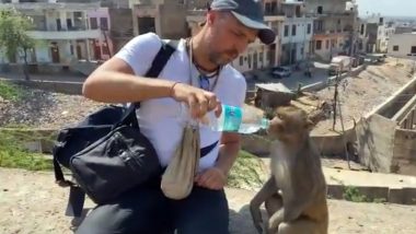 Adorable Video of Man Helping Thirsty Monkeys Drink Water From His Bottle Goes Viral