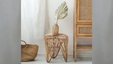 Rattan Rattan Rattan! What is Rattan, And Why is it Everywhere?
