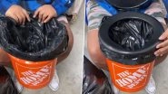 Bucket, Lids & Sealed Bag, Beauty Influencer Shirley Raines&rsquo; Makeshift Toilet for Homeless Community Is Ingenuity, yet Heartbreaking! Viral Video Sparks Mixed Reactions
