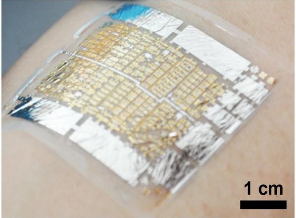 Scientists Develop E-Health Patches To Monitor Pulse, Blood Pressure