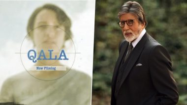 Qala: Amitabh Bachchan Sends Best Wishes to the Team of Tripti Dimri, Babil Khan's Netflix Film