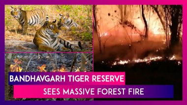 Bandhavgarh Tiger Reserve In Madhya Pradesh Sees Massive Forest Fire