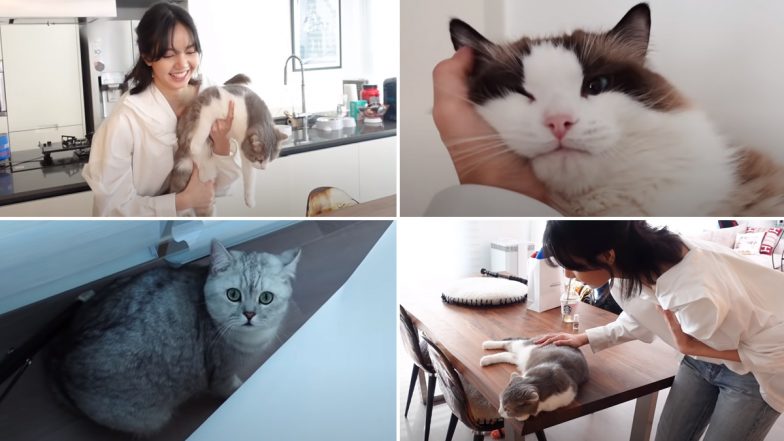 'LILI's FILM' Blackpink's Lisa Introduces the 'L Family' in Latest YouTube Video & It's Purrfect!