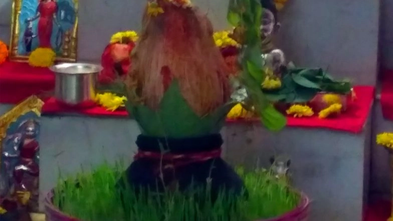 Chaitra Navratri 2021 Ghatasthapana Puja Samagri & Vidhi: Daywise Colour and Significance of the Nine-Night Festival Dedicated to Goddess Durga