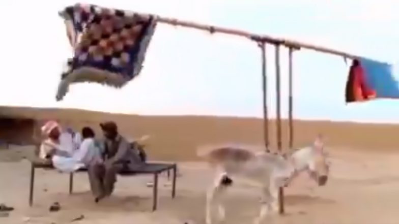 ‘Creativity at the Cost of Torturing Animal?’ Netizens Slam Viral Video of ‘Desi Jugaad’ to Avoid Heat During Summer