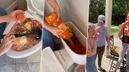 What the Gross! Woman&rsquo;s Bizarre Hack to Make Ice Cream Fruit Punch in a Toilet Bowl Will Make You Rethink Your Next Sip, Watch Viral Video (at Your Own Risk!)
