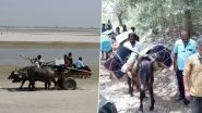 Assembly Elections 2021: Donkeys and Bullock Cart Carry EVMs to Remote Villages (Watch Video)