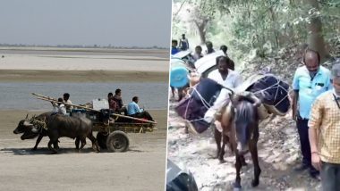 Assembly Elections 2021: Donkeys and Bullock Cart Carry EVMs to Remote Villages (Watch Video)