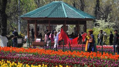 Tulip Festival 2021: Jammu and Kashmir’s Tulip Garden Reverberates With Music As Six-Day Festival Begins