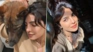 Priyanka Chopra Jonas Sends Virtual Hug to Fans, Shares an Adorable Picture of Her Along With Her Pet Dog Gino