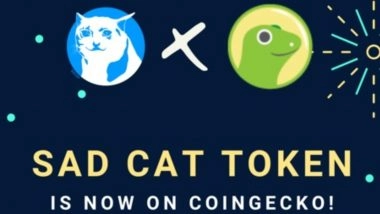Sad Cat Token Launches Pioneering Charity Donation Scheme