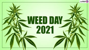 Weed Day 2021 Date, History and Significance: Know More About 4/20 Celebrations aka 4:20 or 420 the Marijuana Holiday